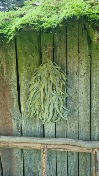 Set 3 pieces Eucalyptus Bath Sauna broom, eucalyptus whisk Natural bath broom 