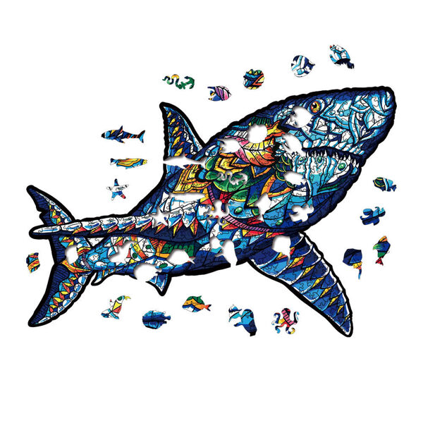 "Vibrant Wooden Puzzle Box – Fun for Everyone to Enjoy"