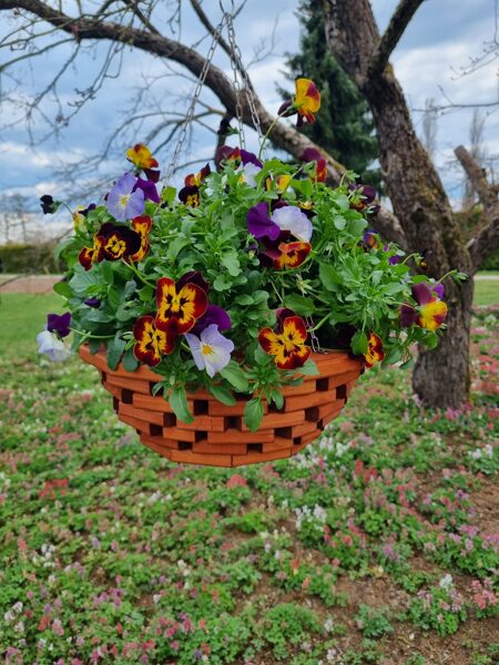 Garden decor wooden flower pot