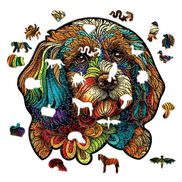 "WhimsiWood Wooden Puzzle Set in Charming Box – Perfect Kids’ Gift!" 